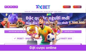 Đặt cược online