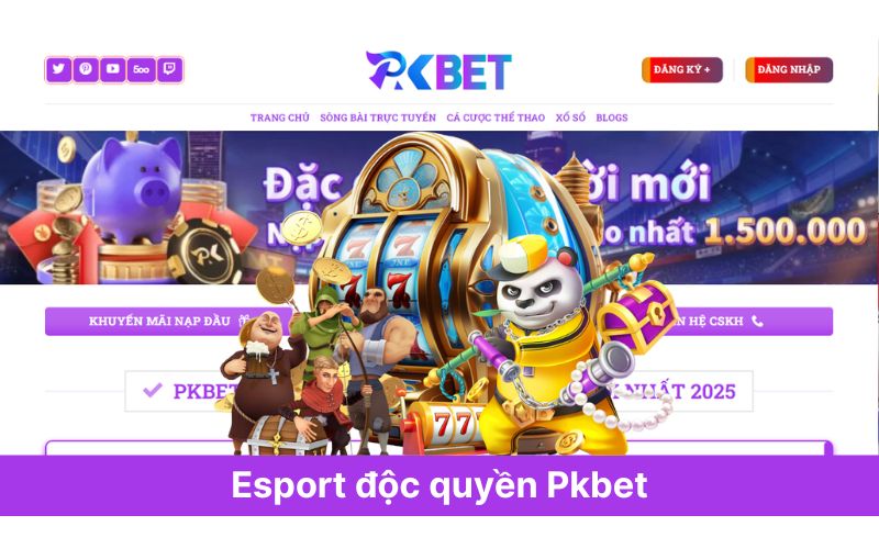 Esport độc quyền Pkbet