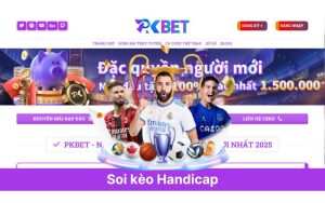 Soi kèo Handicap